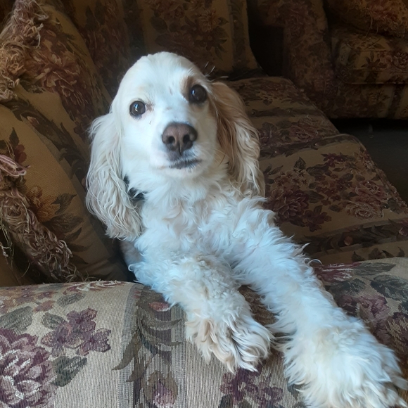 Artisan Handmade Fashion And Fine Jewelry For The Female Tribe - Picture 7 of 7